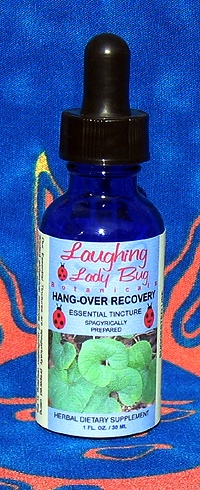 hangover recovery photo
