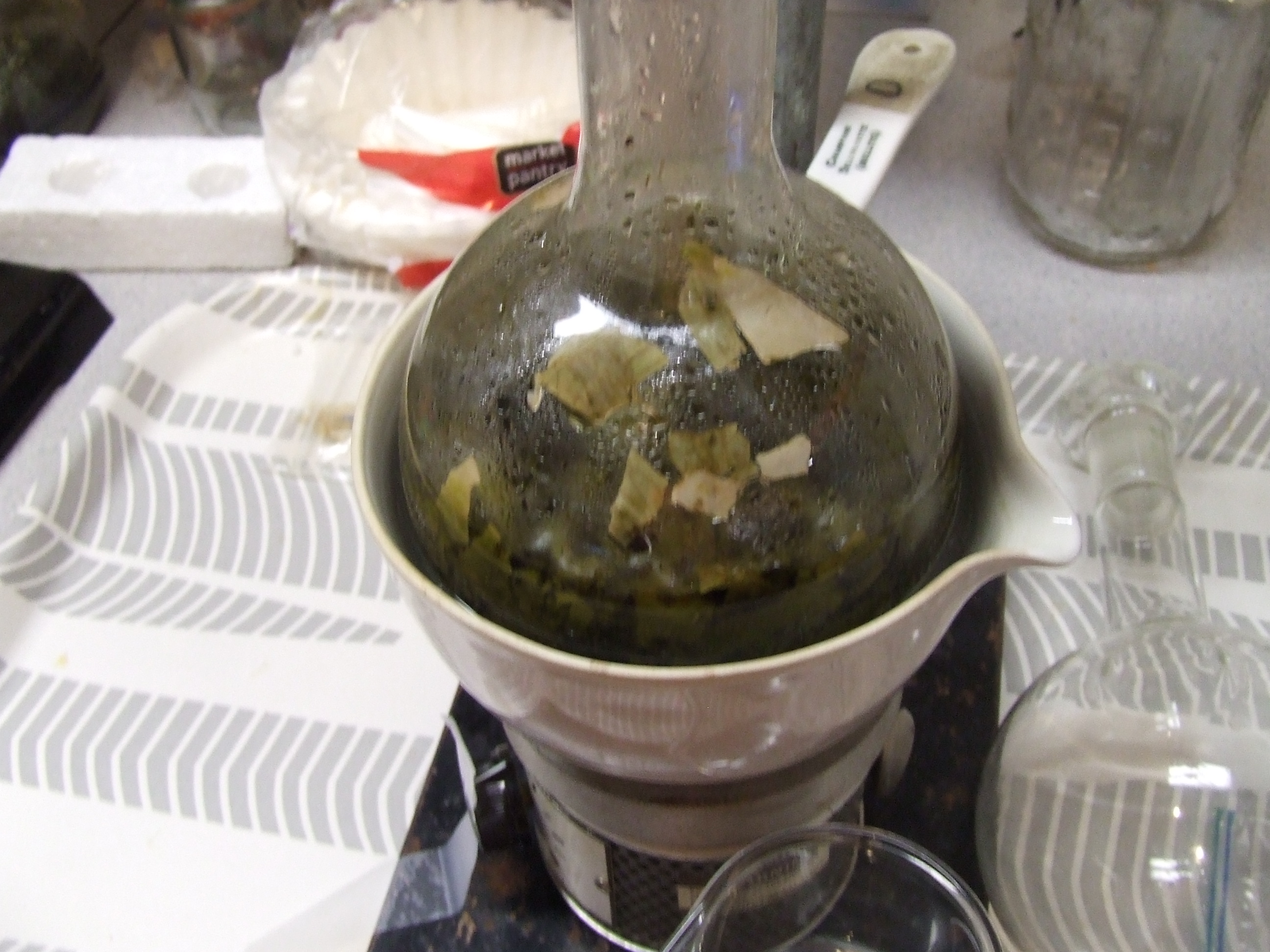 Wild Valerian, Valeriana officinalis