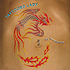 Tattooed Lady CD - KC Wilkerson
